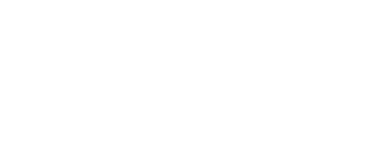 Boswell Book Festival Logo